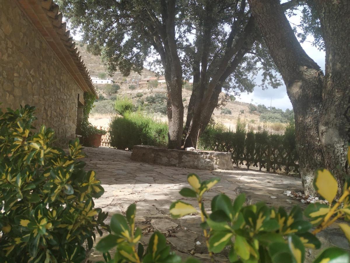 拉卡萨德尔拉诺酒店 Olocau del Rey 外观 照片
